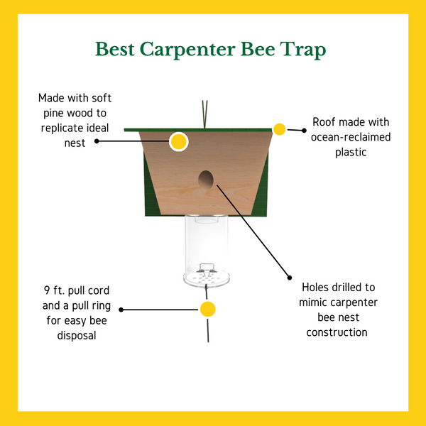 The Best Carpenter Bee Trap | Best Bee Brothers