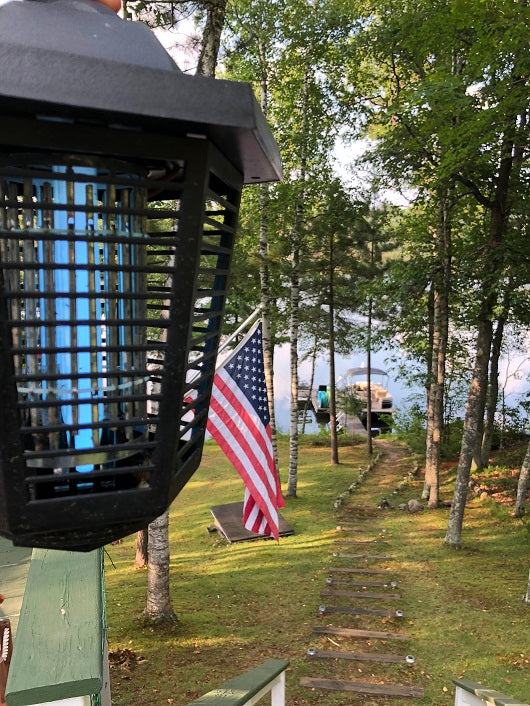 Mosquito Zap Trap in Yard | Best Bee Brothers