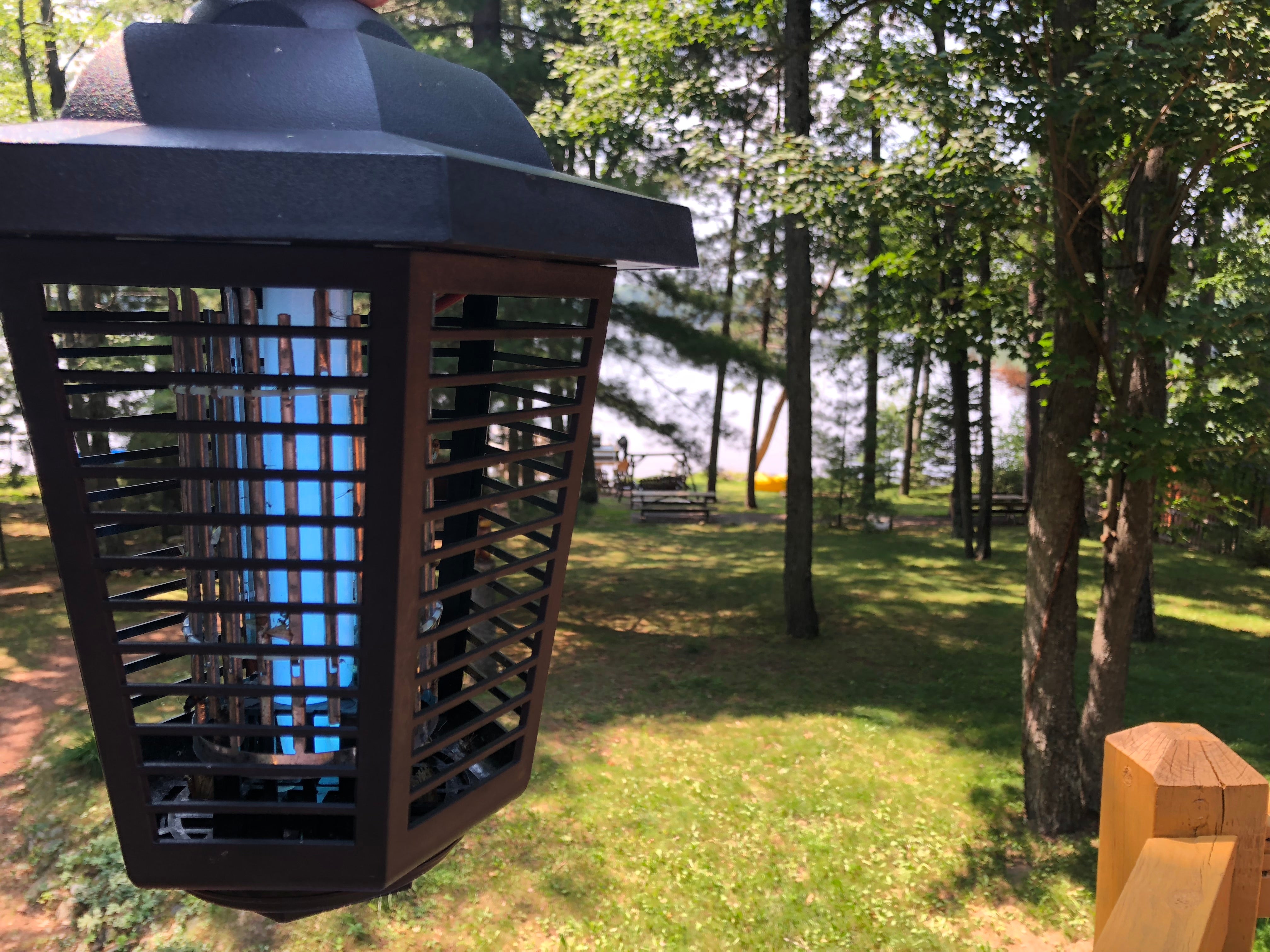 Mosquito Zap Trap Backyard | Best Bee Brothers