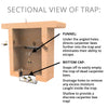 Pine Wood Carpenter Bee Box Trap